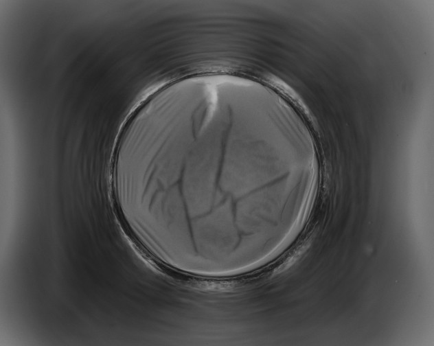 X0000084550802200703231735