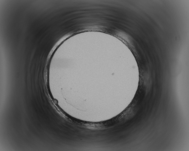 X0000084550804200703231735