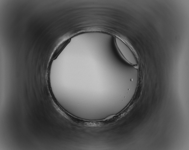 X0000084550805200703231735