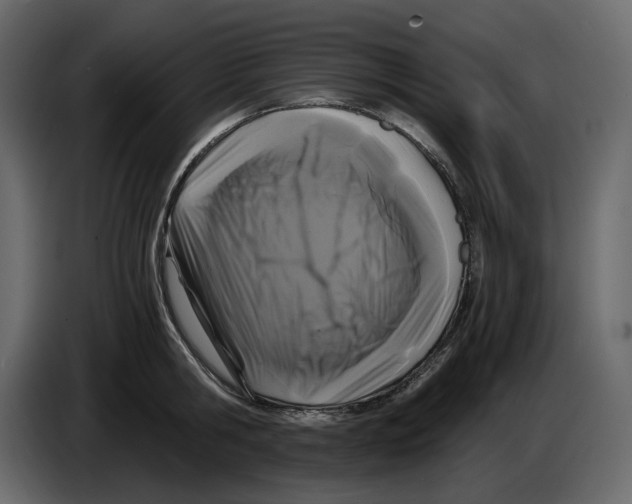 X0000084550806200703231735