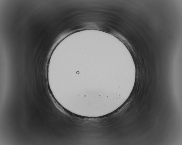 X0000084550808200703231735