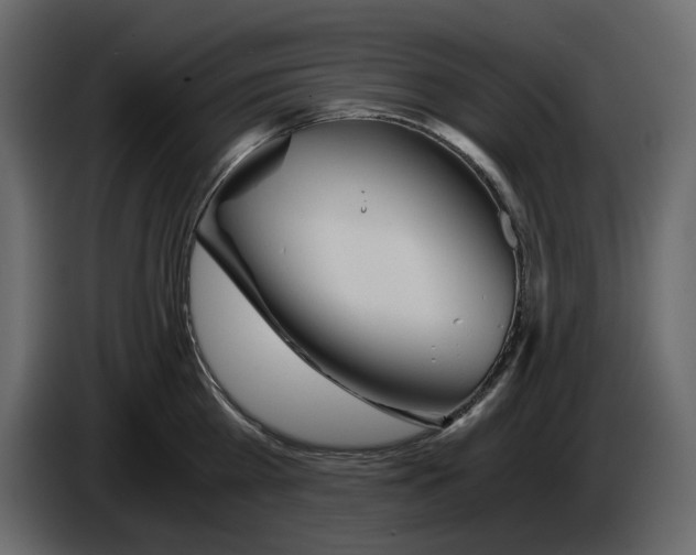 X0000084550809200703231735