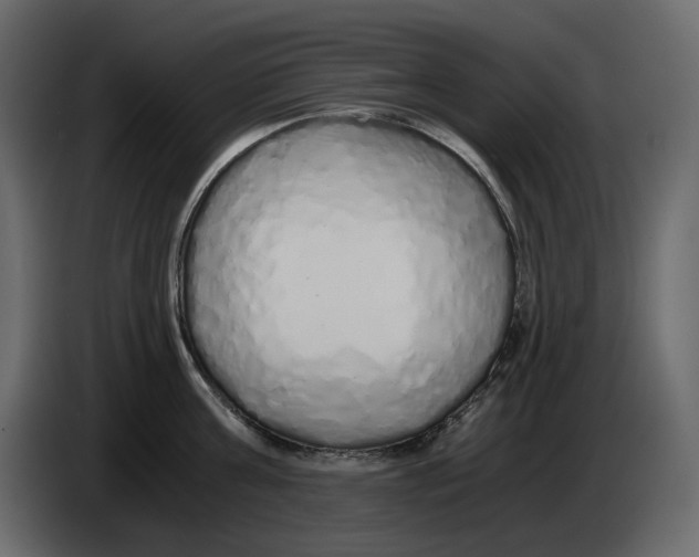 X0000084550811200703231735