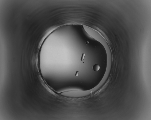 X0000084550812200703231735