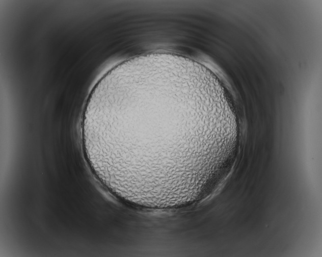 X0000084550814200703231735