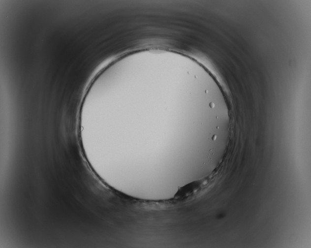 X0000084550815200703231735