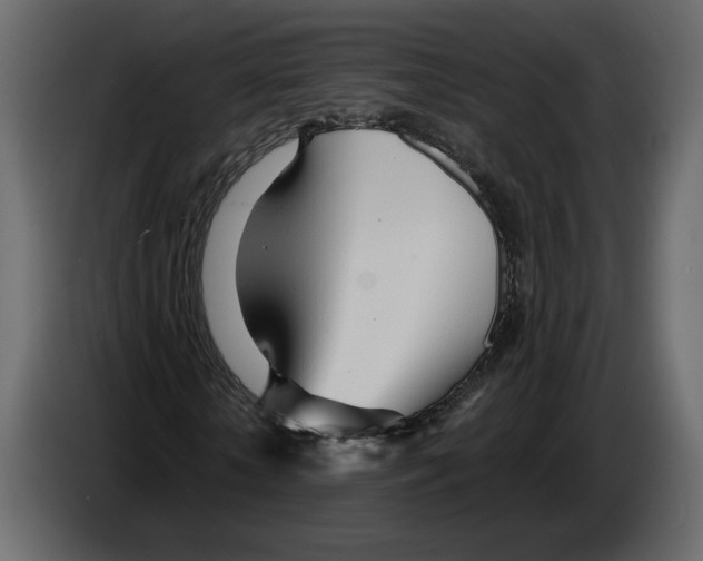 X0000084550818200703231734