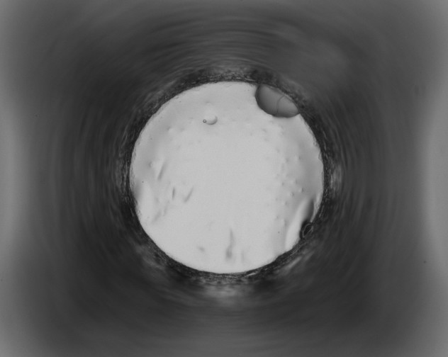 X0000084550819200703231734