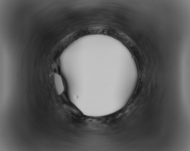 X0000084550821200703231734