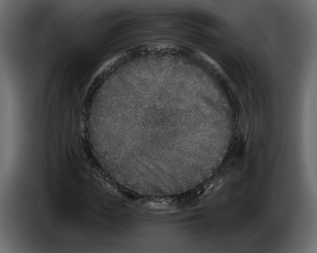 X0000084550823200703231734