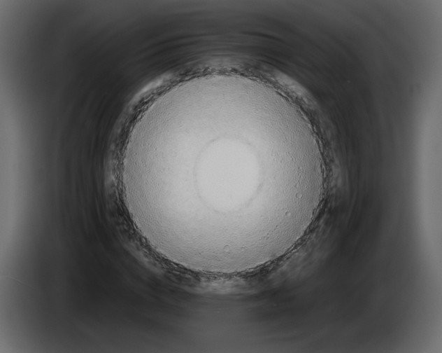 X0000084550824200703231734