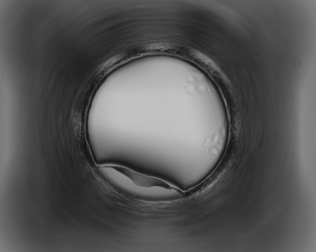 X0000084550825200703231734