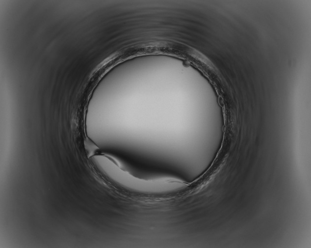 X0000084550826200703231734