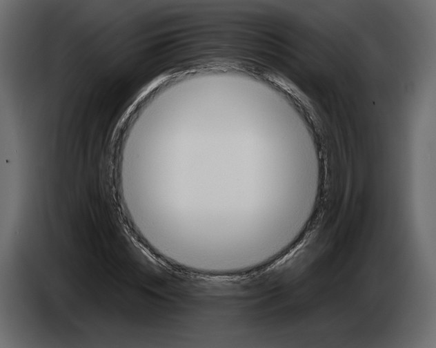 X0000084550828200703231734