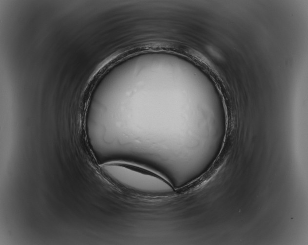 X0000084550829200703231734