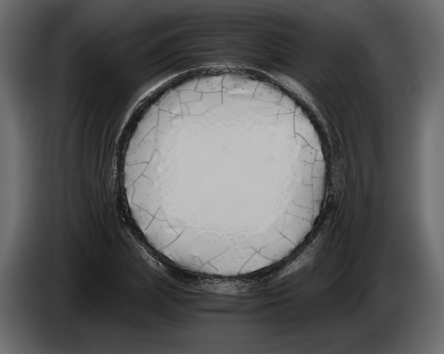 X0000084550831200703231734