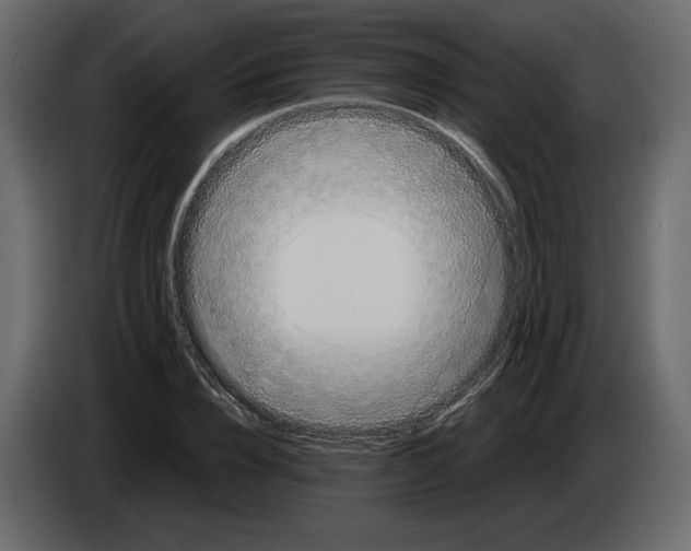 X0000084550832200703231734