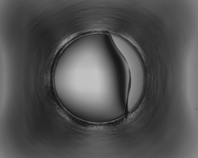 X0000084550834200703231734