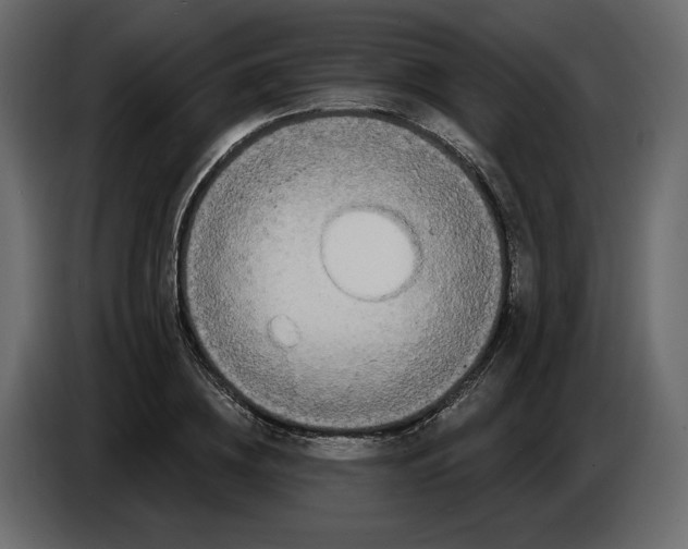 X0000084550836200703231734