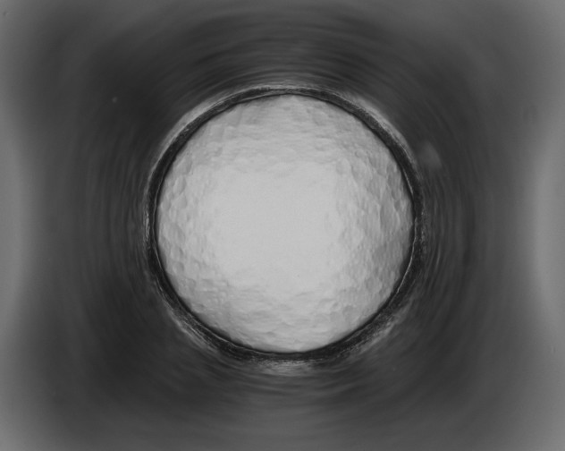 X0000084550837200703231734