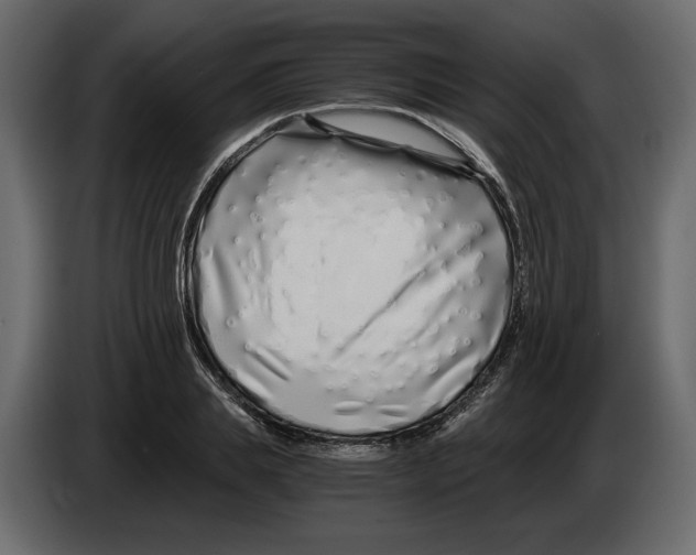 X0000084550839200703231734