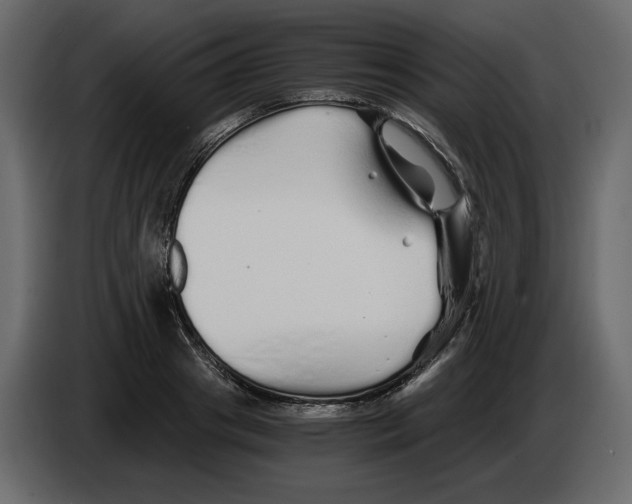 X0000084550841200703231735