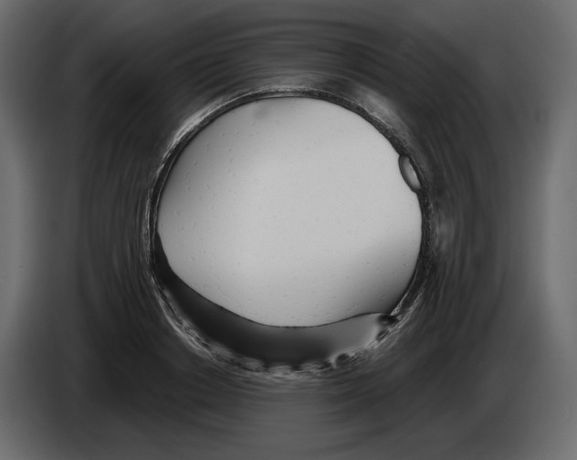 X0000084550842200703231735