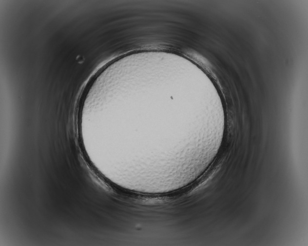 X0000084550843200703231735