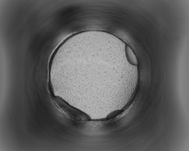 X0000084550844200703231735