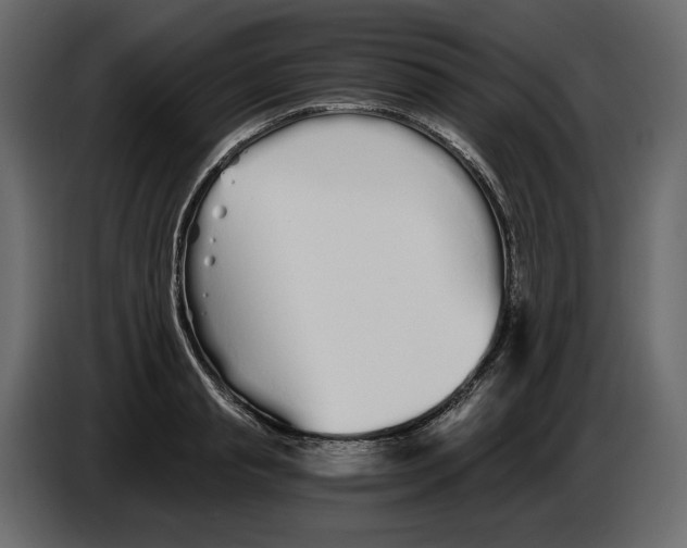 X0000084550845200703231735