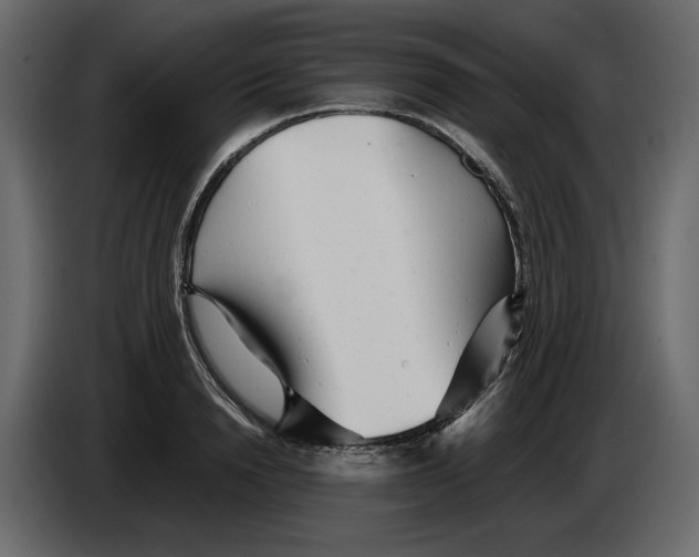 X0000084550846200703231735