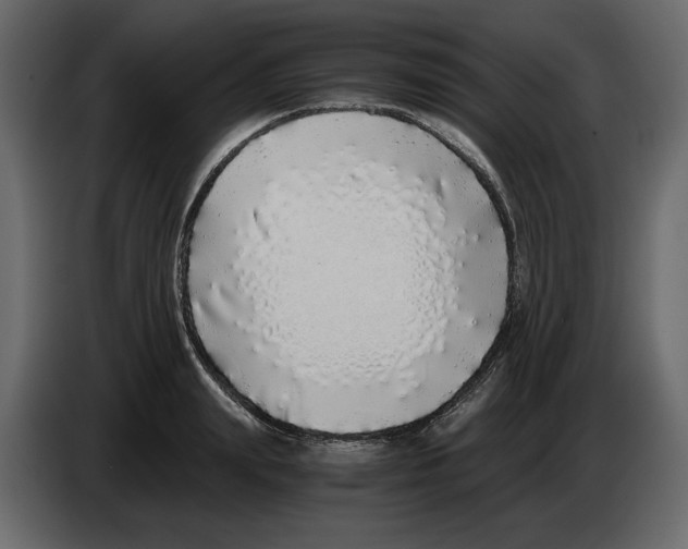 X0000084550847200703231735