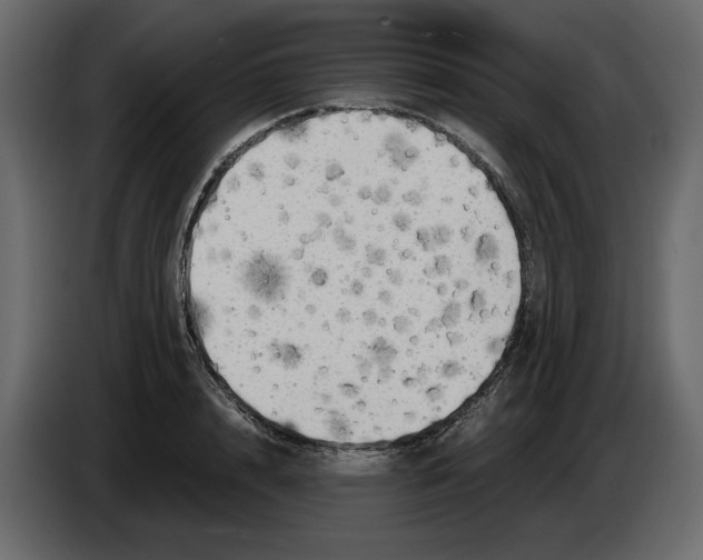 X0000084550848200703231735