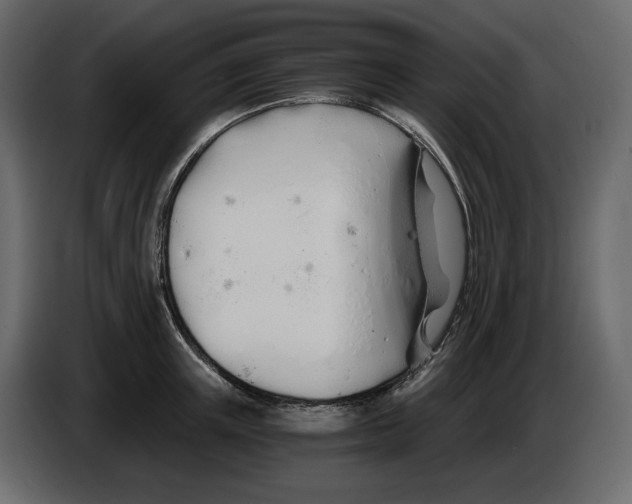 X0000084550851200703231735