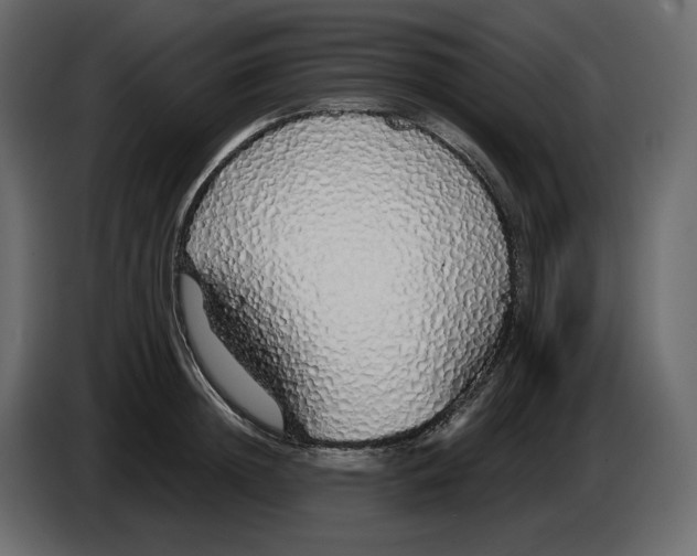 X0000084550852200703231735