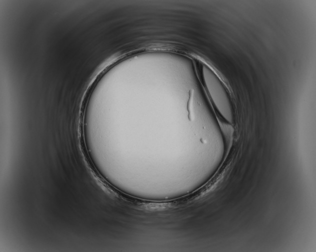 X0000084550853200703231735