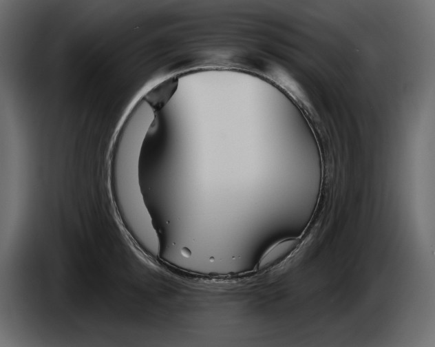 X0000084550854200703231735