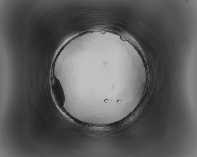 X0000084550855200703231735