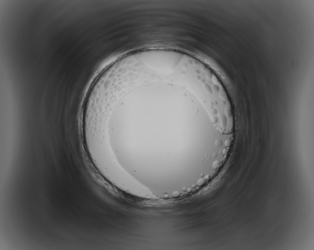 X0000084550856200703231735