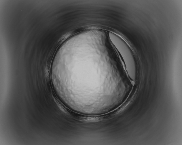 X0000084550857200703231735