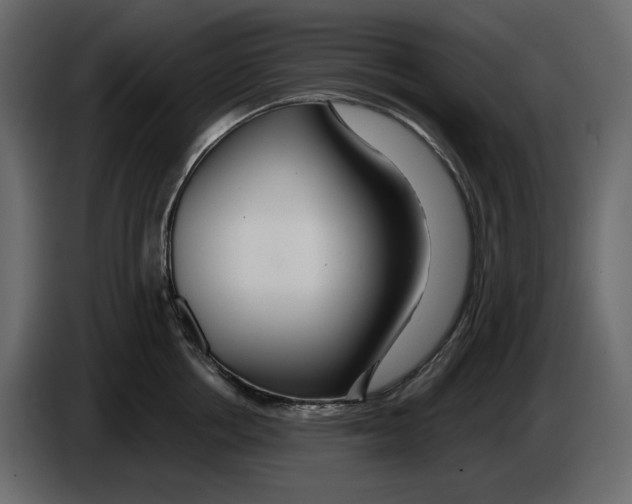 X0000084550858200703231735