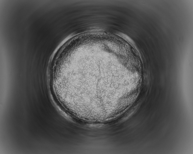 X0000084550859200703231735