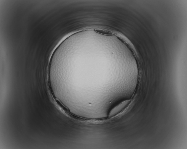 X0000084550860200703231735