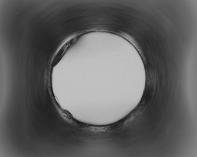 X0000084550861200703231735