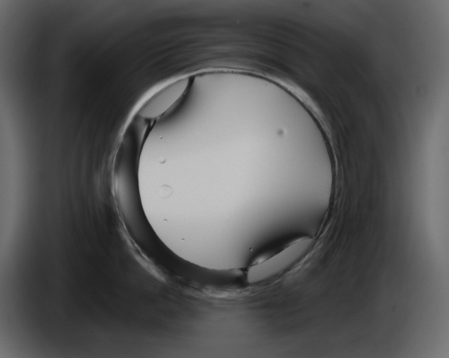 X0000084550862200703231735