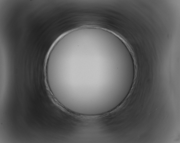 X0000084550864200703231735