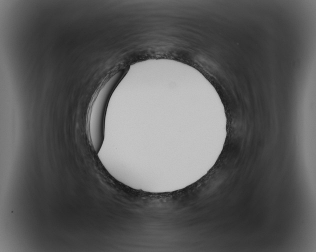 X0000084550865200703231734