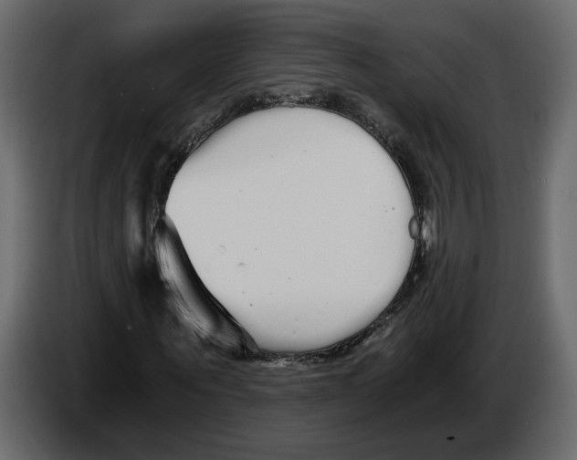 X0000084550867200703231734