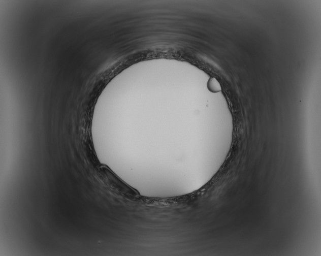 X0000084550869200703231734