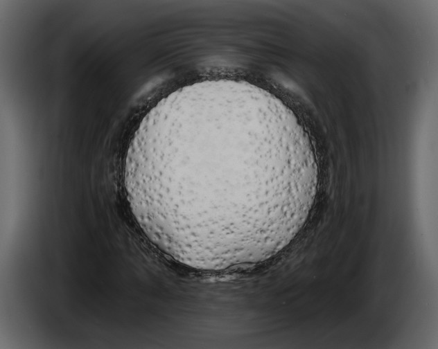 X0000084550870200703231734